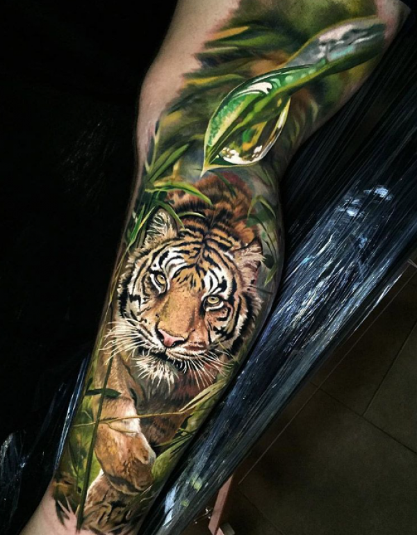 Tato Harimau di Hutan Tropis